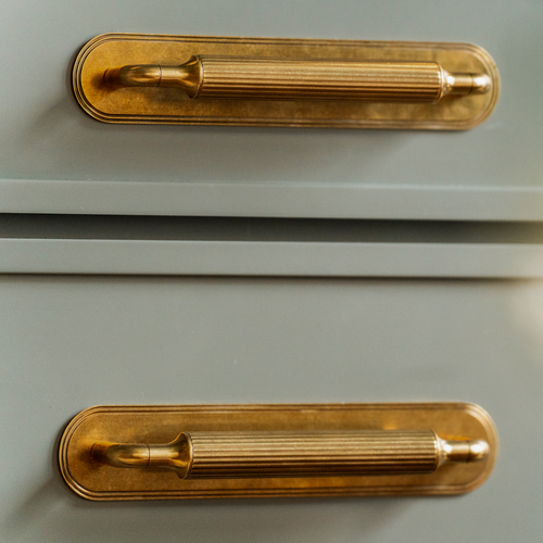 Barwick Ridged Cabinet Pull Handle with Backplate