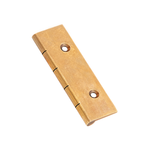 Dummy Hinge (Pair of)