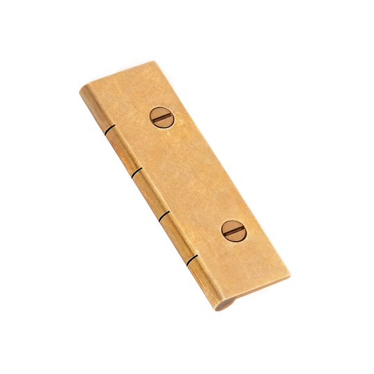 Dummy Hinge with Slotted Screws