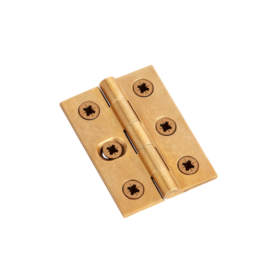 207 - 1 SLOT Brass Broad Butt Hinge with Pozi Screws