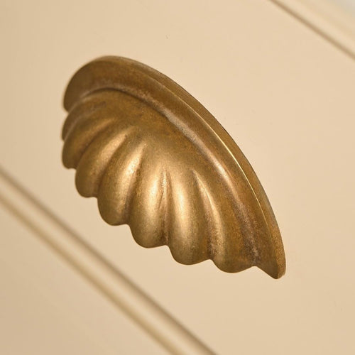 Aberdovey Shell Cup Pull