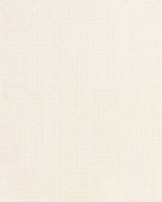 Mesh