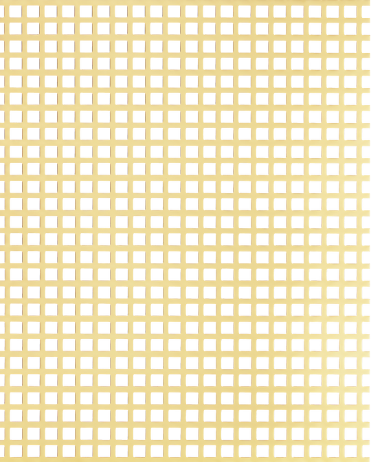 Square Perforated Grille