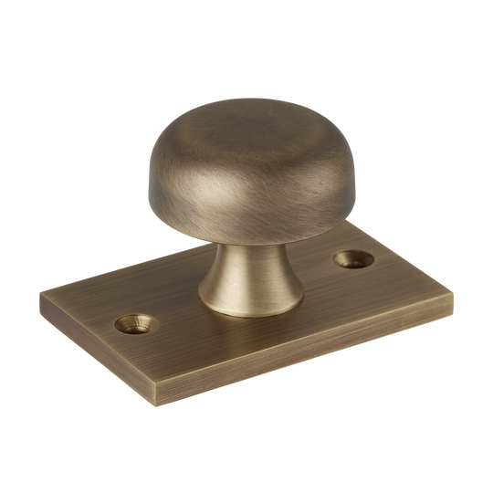 Washwood Cabinet Knob with Backplate